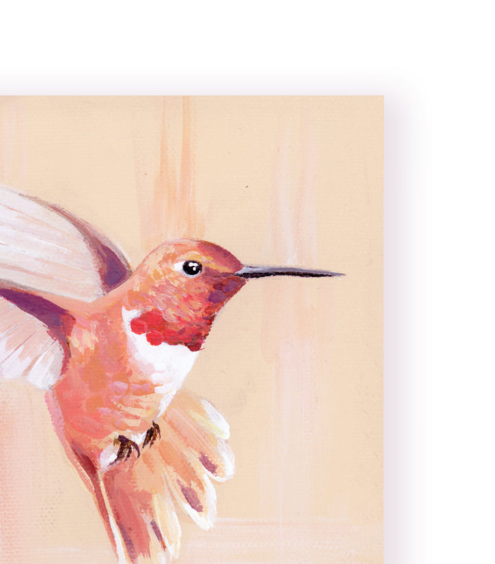 "Hover" - Original Hummingbird Artwork