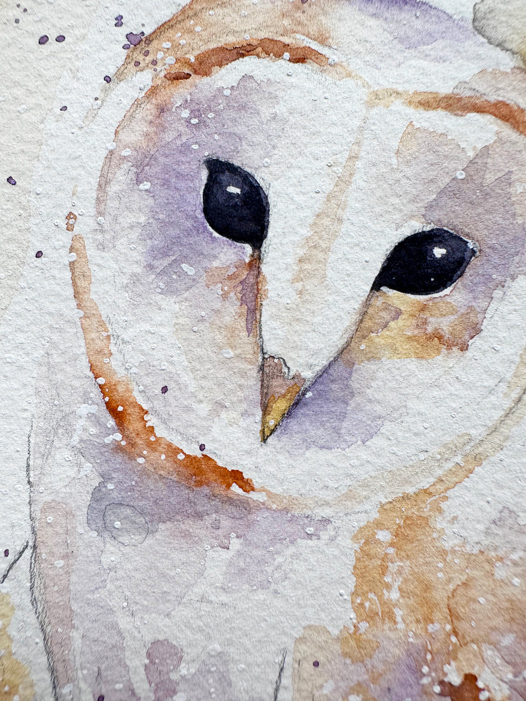 "Wonder" -  Barn Owl Original Watercolor Painting