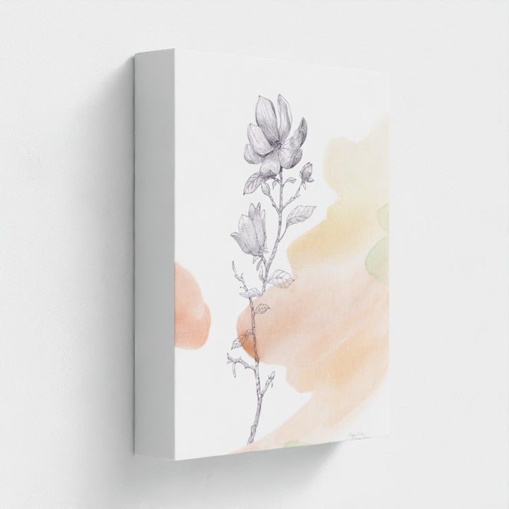 "Magnolia Bloom" - Limited Edition Canvas Art Print