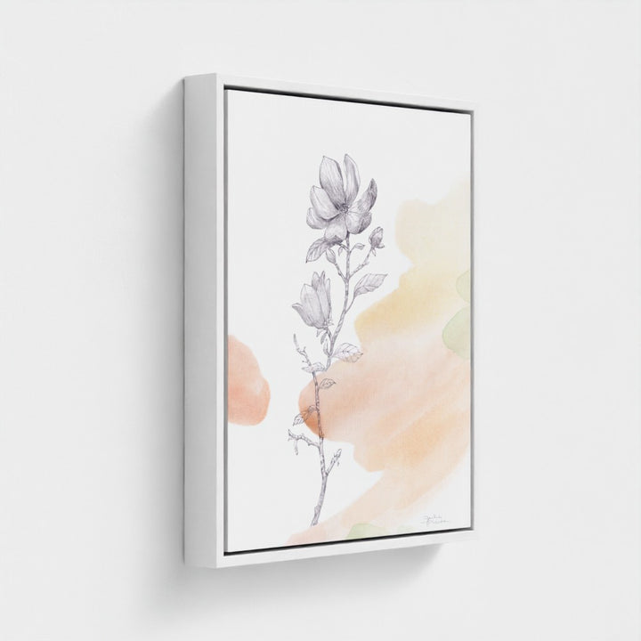 "Magnolia Bloom" - Limited Edition Canvas Art Print